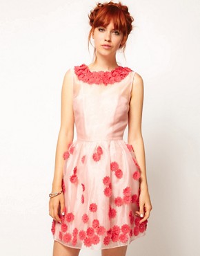 Image 1 of ASOS SALON Pretty Dress in Floral Appliqué