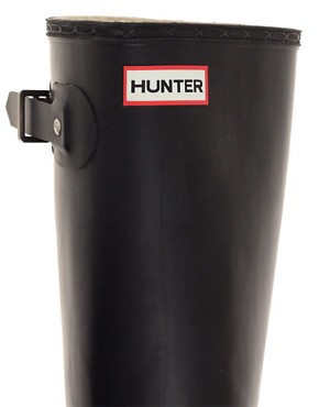Image 2 of Hunter Original Tall Wellies